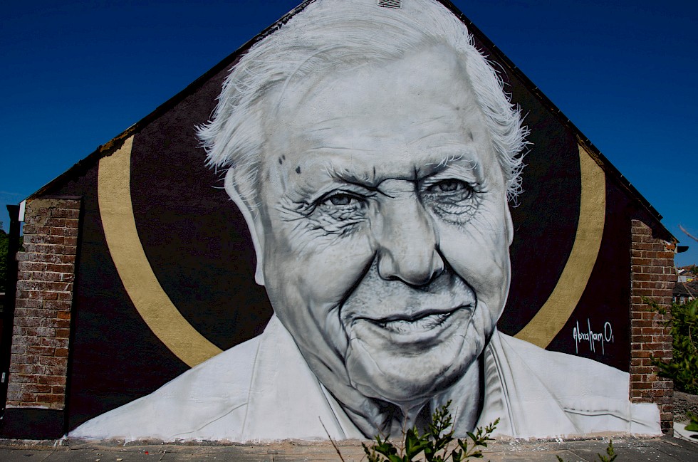 ESOL Student Unveils Stunning Sir David Attenborough Mural
