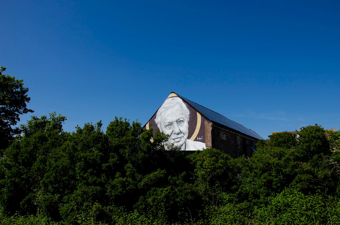 Abraham Osorio's mural of Sir David Attenborough