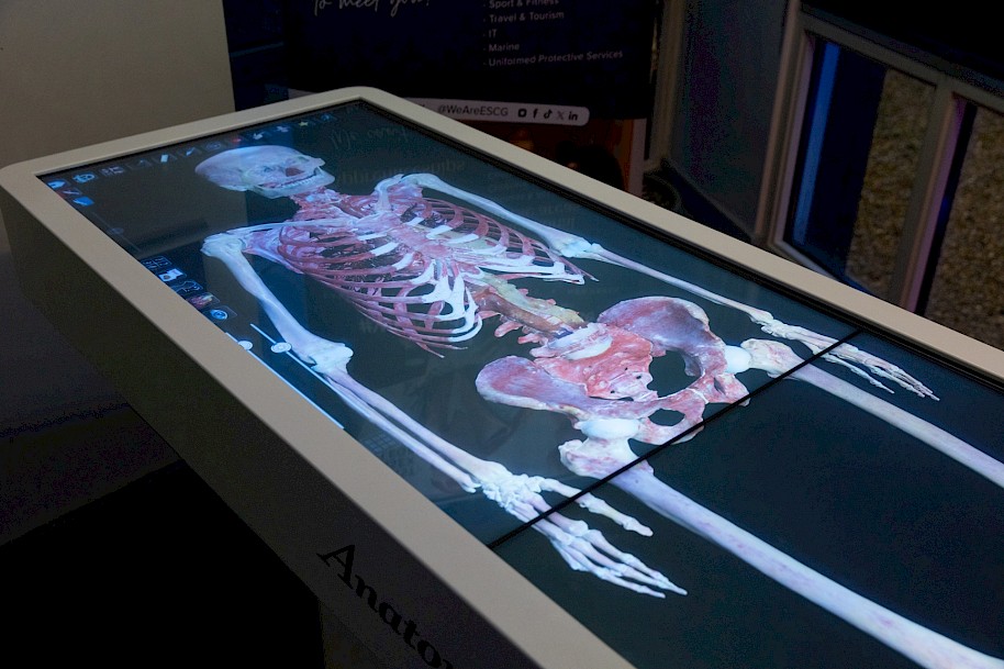 Anatomage table