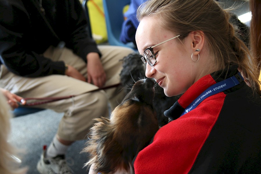 College hosts stress-busting days to help students relax