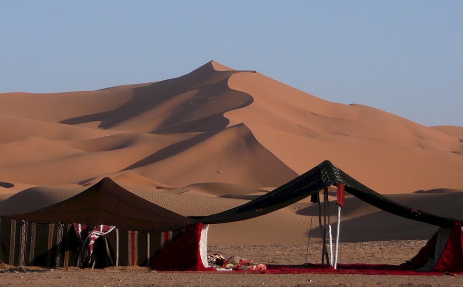 College tutors embark on a trek across the Sahara for charity