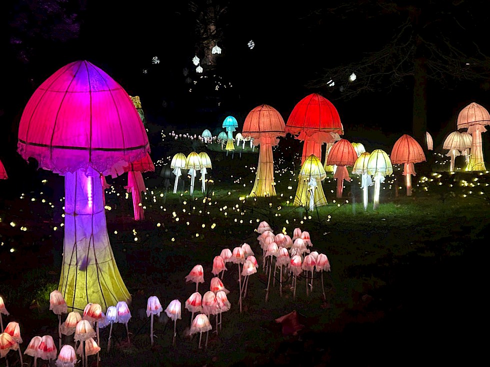 Young Creatives Invited to Illuminate Glow Wild 2026