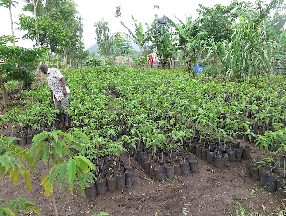 East Sussex College Plants Trees for Carbon Neutral Initiative